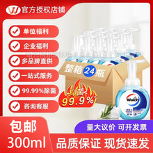 W威露士泡沫抑菌洗手液300ml儿童幼儿园单位采购劳保福利酒店杀菌