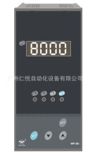 WP-S845-022-12-N-T上润简易操作器手操器数显表数字显示控制仪表