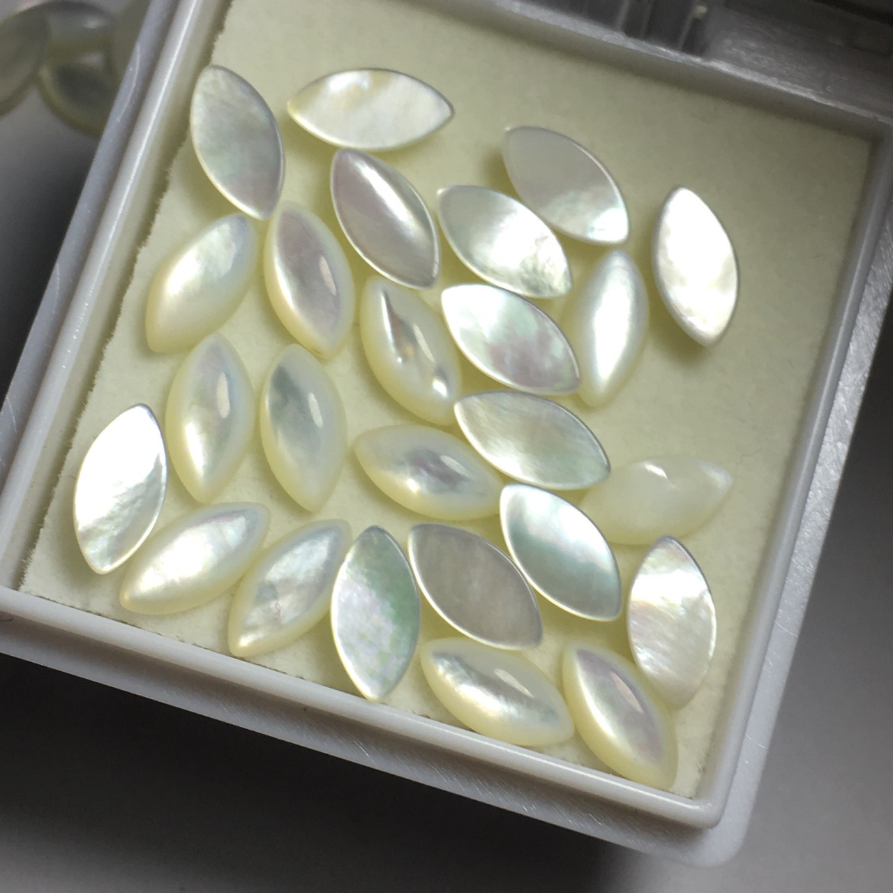 天然珍珠贝母马眼平底素面卜面4385白贝