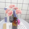 Simulation 5 Carnation Mother's Day Teacher's Day gift Artificial Flower Juanbu Home Furnishing decorate Artificial flower Wholesale and retail Simulation 5 Carnation Mother's Day Teacher's Day gift Artificial Flower Juanbu Home Furnishing decorate Artificial flower Wholesale and retail