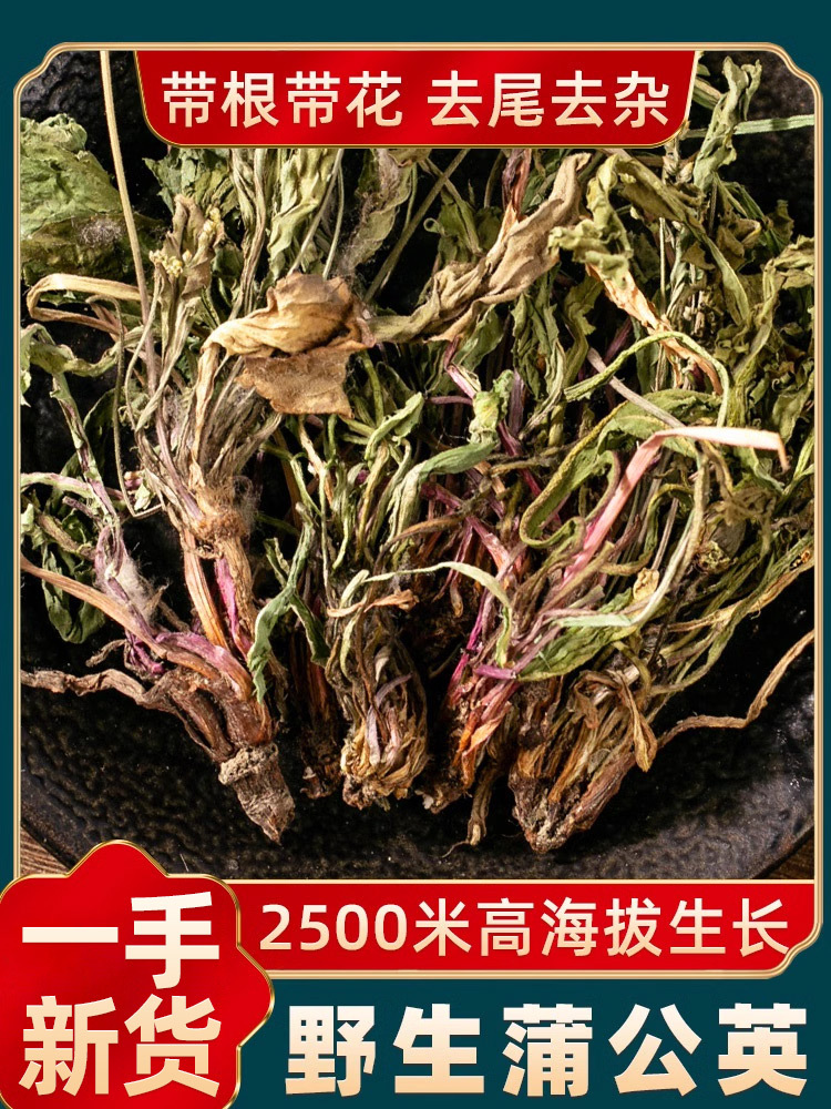 夏枯草蒲公英散结茶组合材500g浦公英茶野生官方旗舰店