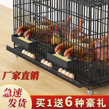 鸡笼子家用室内室外小号大号特大号清粪折叠养殖笼阳台鸡舍鸡