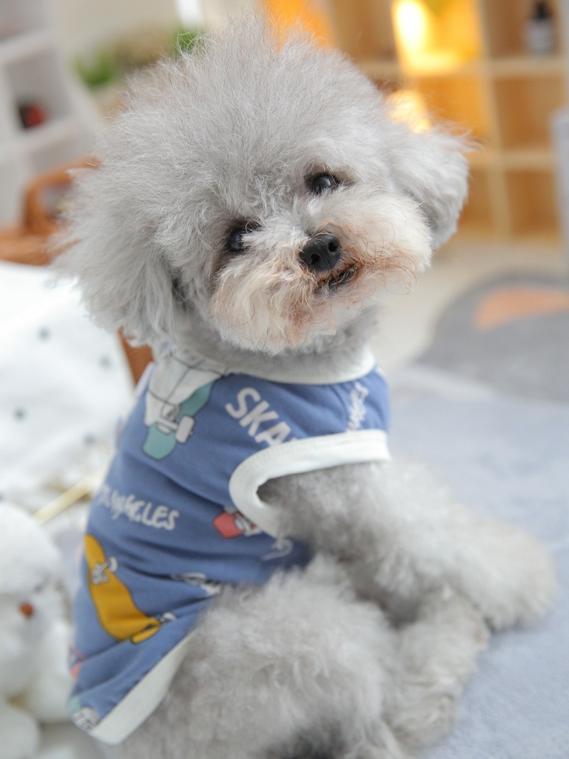 宠物雪纳瑞春秋装家居服宠物及园艺狗狗服装配饰宠物服饰中国宠物