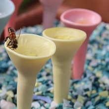 跨境新品Bee Insect Drinking Cup蜜蜂蜂鸟喂食器树脂喂 水蜜蜂杯