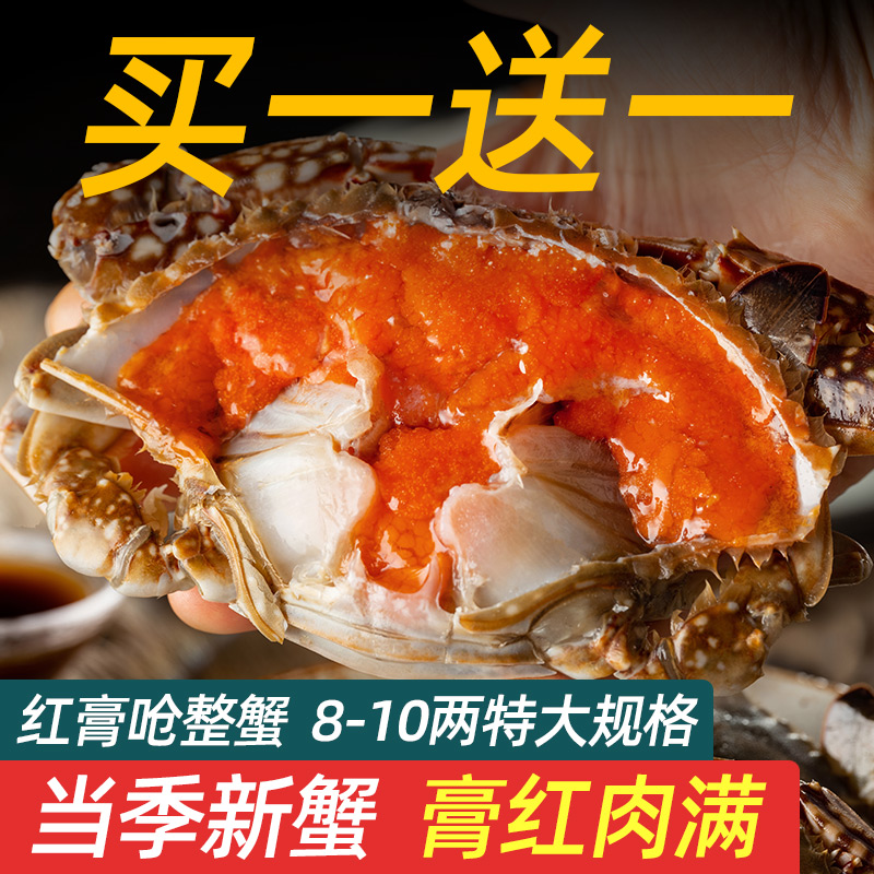 红膏呛蟹整只生腌螃蟹梭子蟹宁波咸蟹醉蟹酱母蟹炝