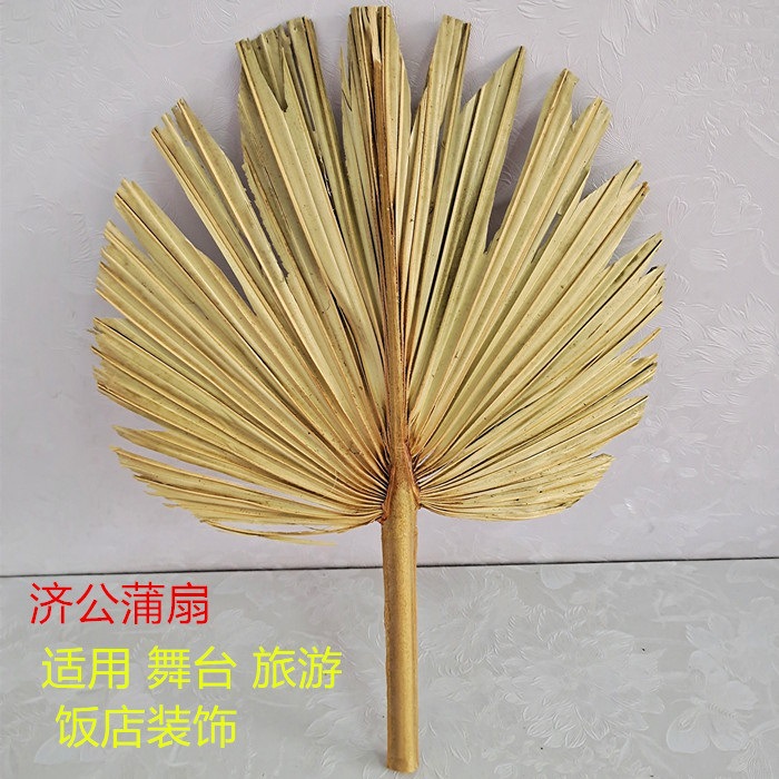 老式蒲草扇扇老人夏季葵扇大蒲扇芭蕉扇手工扇子编织粽叶家用济公