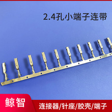 厂家直供 2.4孔小端子连带 五金端子 铜件 插簧 接插件 连接器