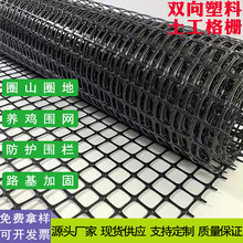 塑料养殖网圈鸡鸭鱼塘隔离网果园玉米围栏防护网路基加固土工格栅