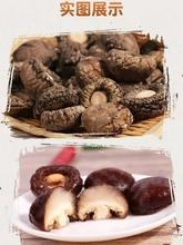 西峡香菇干货散装500g一斤包邮商用特产干蘑菇香茹新鲜干香菇花菇