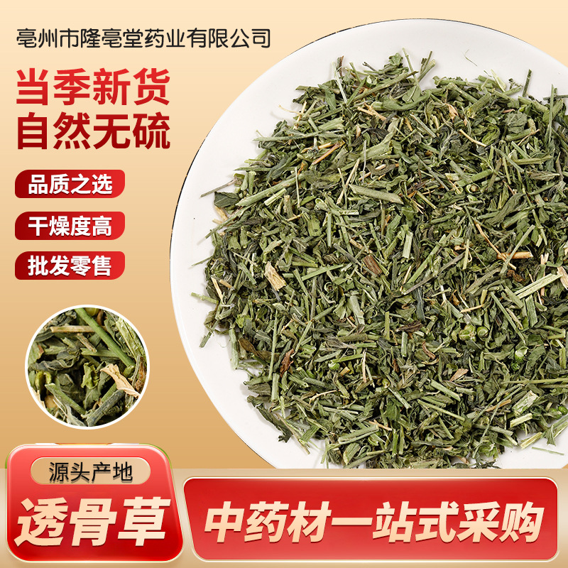 透骨草 天然纯野生新货 无硫 透骨草 珍珠透骨草 中药材500克包邮