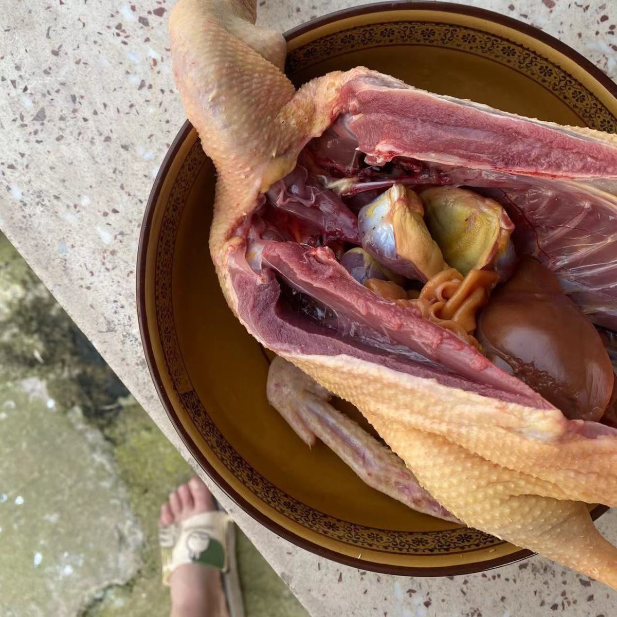 三年农家土鸭子生鲜鸭子肉新鲜整只现杀江苏嘛鸭散养老鸭草鸭肉禽