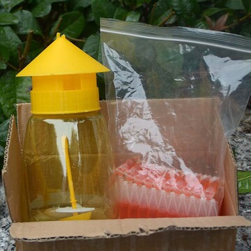 瓜果实蝇针蜂诱捕器 引诱器 瓜实蝇果实蝇捕捉器果蝇诱捕器引诱剂
