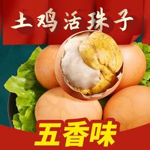 活珠子熟食美食推荐五香味新鲜13天即食熟毛鸡蛋钢化蛋喜蛋鸡胚蛋