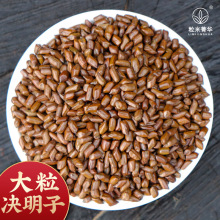 决明子泡茶 野生决明子500g 炒决明子儿童沙滩玩具决明子新货无硫