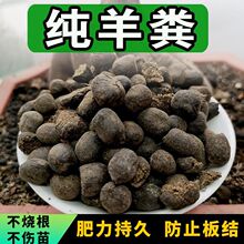 纯羊粪蛋肥 颗粒腐熟营养土种菜花果蔬羊粪发酵有机肥100斤农家肥