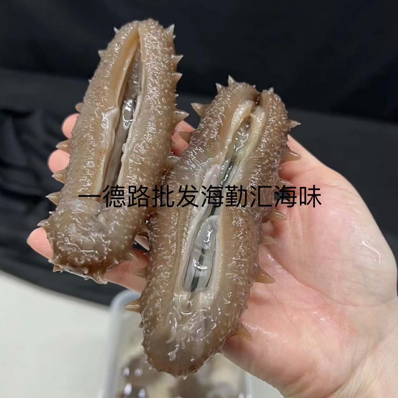 批发大连淡干海参大连刺参辽刺参大连辽参海参干货泡发10倍优质