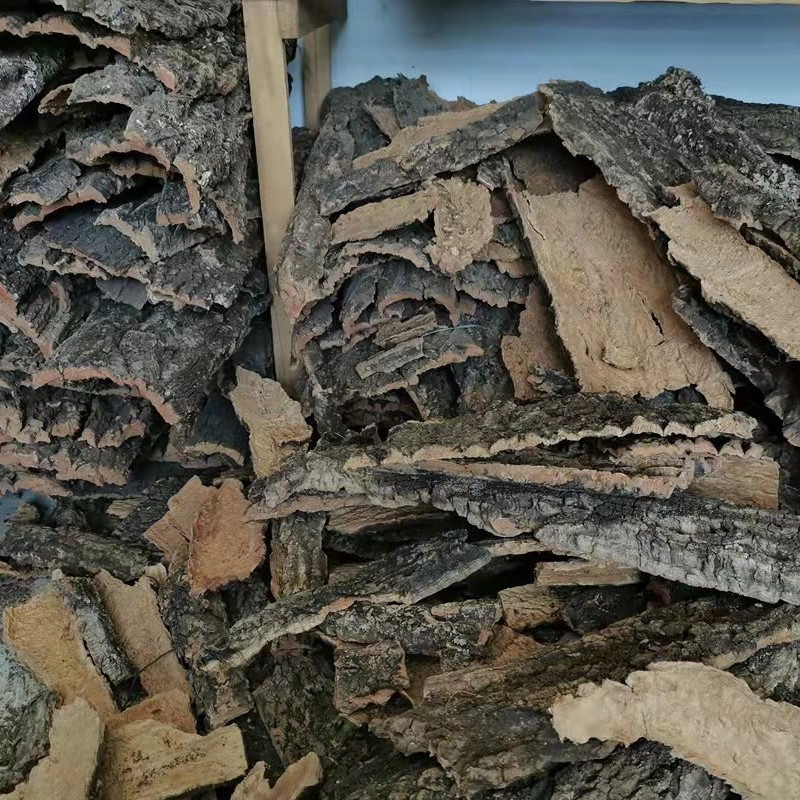 香槟树皮按斤香槟木造景水陆缸爬宠躲避橡鱼缸空气凤梨背景墙