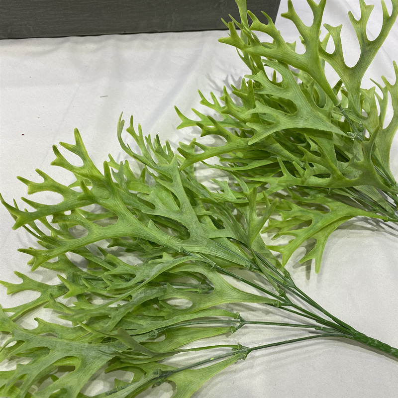 鹿角草仿真迷你绿植配草小清新沙漠旱莲植物墙装饰蕨类家居装饰