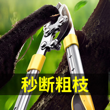 园林修枝剪树枝专用剪刀果树粗枝剪修剪树枝剪刀强力剪子园艺工具