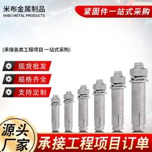热镀锌膨胀螺丝热浸锌膨胀螺栓国标加长外膨胀电力光伏m8m10m12