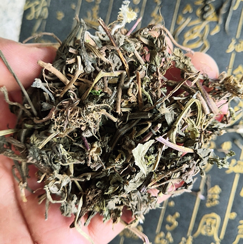 中药材白毛夏枯草干筋骨草散血草破血丹苦草四季春草金疮小草批发