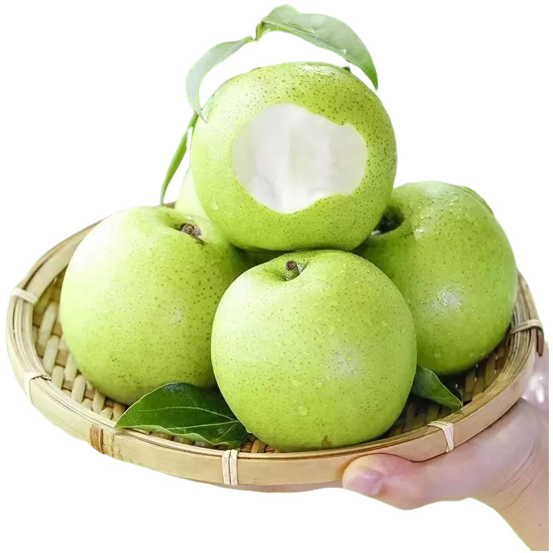 安徽青皇冠梨应当季水果皇冠梨包邮新鲜水果梨子皇冠梨一件代发