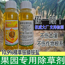 10.9%黄金焰精草铵膦铵盐正品批发牛筋草水花生小飞蓬果园除草剂