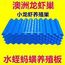 黄鳝养殖鳝巢鳝鱼槽窝穴水产立体环保无毒蜂窝塑料窝巢巢穴蜂巢箱