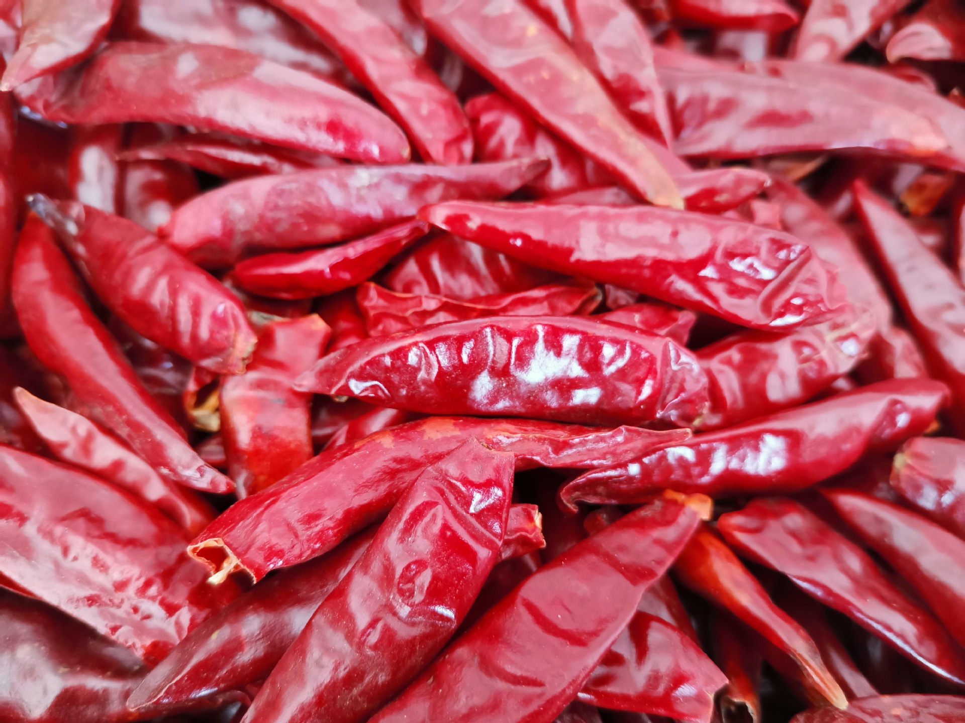 新一代干辣椒微辣香三樱椒河南农家小椒香辣红朝天椒天鹰椒辣椒彩