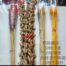 天然高粱穗原色麦穗黄色小麦田园艺术生活摄道具客厅装饰干花包