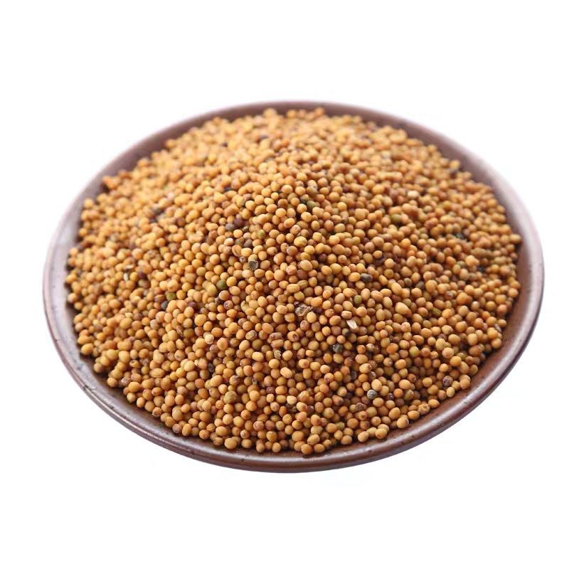 黄芥子 中药材黄芥子500克黄介子青菜籽芥菜子芥末介茉子山芋菜籽