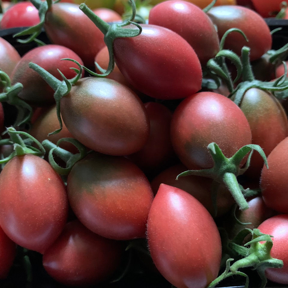 【果园现摘 紫弹头小番茄】迷彩圣女果新鲜水果蔬菜小西红柿