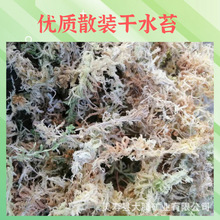 大量批发散装优质干水苔兰花石斛食虫植物保湿爬宠垫底专用干水苔