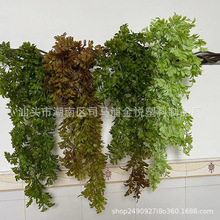 仿真绿植壁挂吊兰花垂吊绿色植物蕨类墙壁管道吊顶软装饰蕨叶藤条