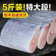 带鱼新鲜冷冻刀鱼中段级大号东海深海鱼鲜活海鲜整箱10斤非舟山