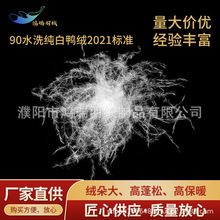 服装标准90水洗纯白鸭绒2021标准羽绒原料 高蓬松无异味