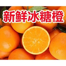 批发价当季甜橙新鲜爆甜整箱薄皮冰糖橙一子甜应季水果