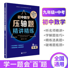 初中数学题精讲精练（九年级+中考）学一题会“百"题各版通