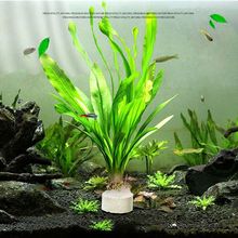鱼缸装饰水植物入门级懒人造景大叶绿九冠真进化水质增氧
