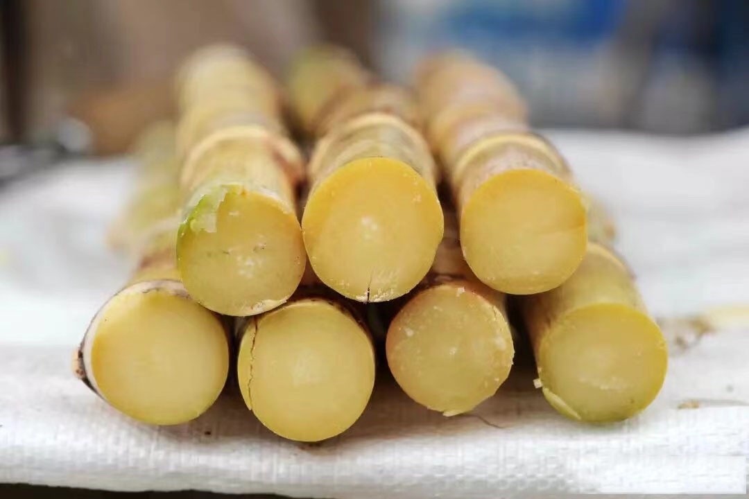 广西白玉甘蔗 现砍黄皮甘蔗 5斤当季新鲜水果清甜可口