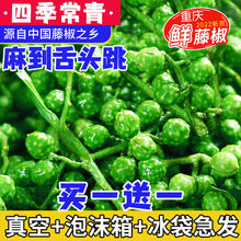 重庆保鲜青花椒350g新鲜青花椒鲜藤椒冷冻鲜花椒麻椒家用商用批发