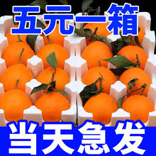 【批发价】四川爱媛果冻橙当季新鲜水果手剥橙脐橙桔水果整箱批发