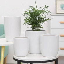 陶瓷花盆家用白色花瓶客厅室内种绿植幸福树龙血树专用发财树花盆