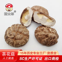 茶花菇干农产品西峡特产冬菇蘑菇干货干香菇出口欧盟