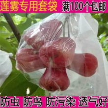 莲雾套袋莲雾日光袋半透明莲雾套袋释迦果荔枝套袋水果袋