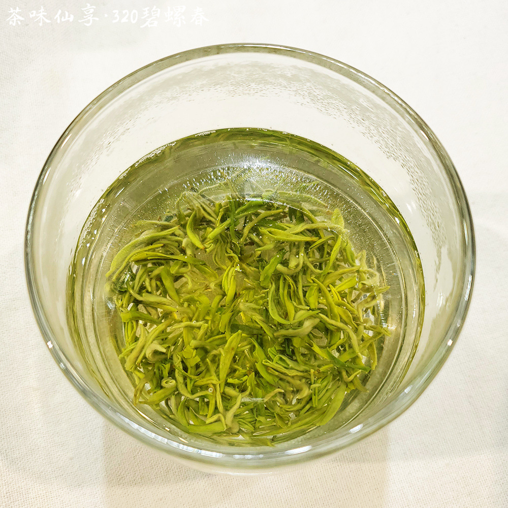 2022新茶明前碧螺春茶 炒青绿茶叶批发货源厂家散装一件代发500g