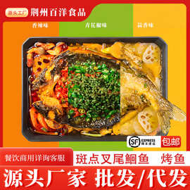 源头工厂香辣烤鱼青花椒蒜香鮰鱼餐饮冻货冷链配送批发餐饮生鲜