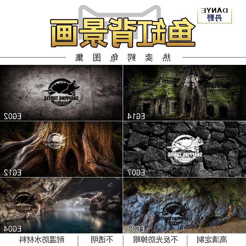 鱼缸背景纸画高清图3d立体壁纸水族箱贴纸壁画造景装饰鳄龟图定5d