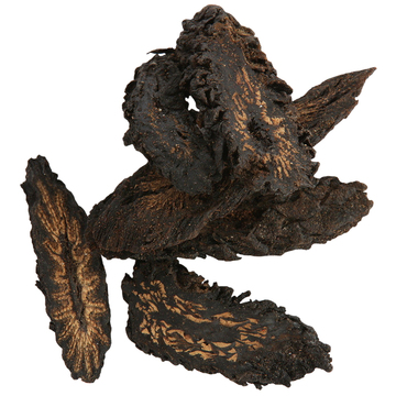 软肉苁蓉100克250克500克包邮 内蒙大芸油苁蓉切片寸云可搭淫羊藿