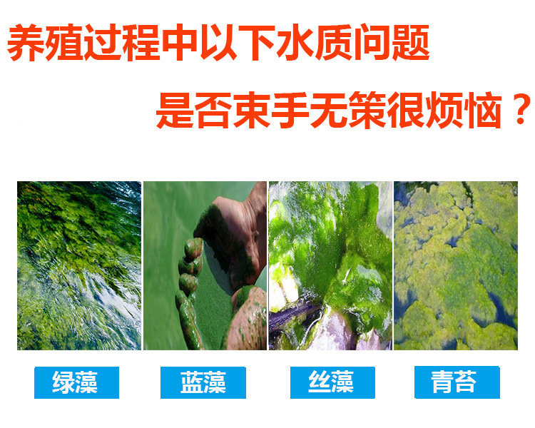 虾塘蓝藻克星鱼塘青苔分解剂池塘速灭绿藻一水产养殖67除藻剂蓝藻